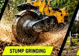 Illustrative stump grinding machinery artwork
